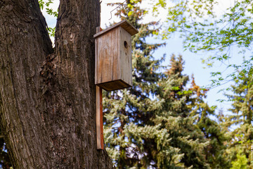 Wooden handmade birdhouse on a tree in the park