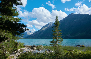 Multinskoye lake and mountains in the summer. There are some trees of larches near lake. 