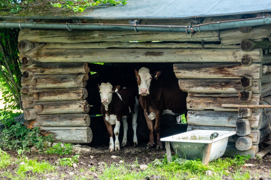 doppelzimmer mit bad