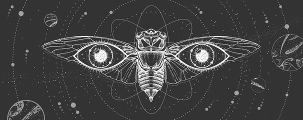 Modern magic witchcraft card with solar system,  cicada and all-seeing eye. Hand drawing occult vector illustration © annbozhko