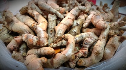 Herb Fresh turmeric root background