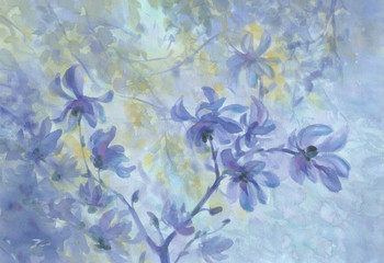 Fototapeta na wymiar Magnolia flowers in bloom blue watercolor background