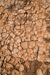 Dry earth background