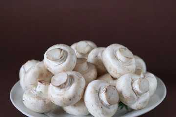 raw mushrooms on a plate on dark brown background