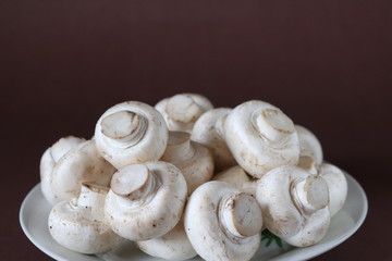 raw mushrooms on a plate on dark brown background