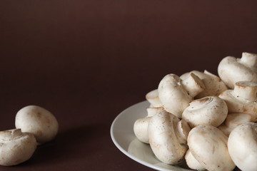 raw mushrooms on a plate on dark brown background