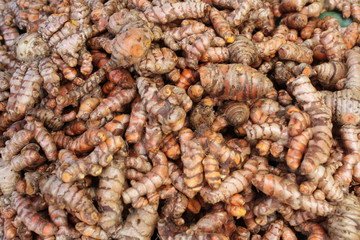 Herb Fresh turmeric root background