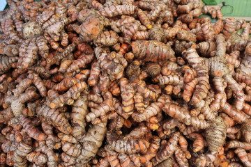 Herb Fresh turmeric root background