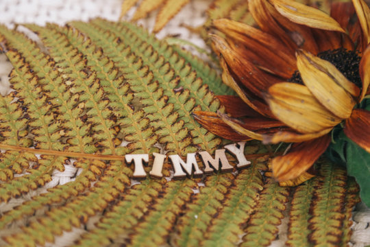 word Timmy on the autumn leaves