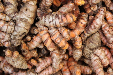 Herb Fresh turmeric root background