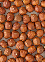 Hazelnut cluster. Hazelnut on the white background.
