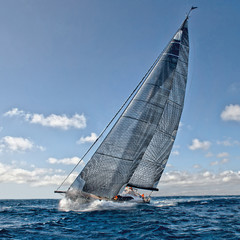 Sailing yacht race. Yachting. Travel - 340967412