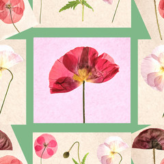 Poppy. Illustration, texture of flowers. Seamless pattern for continuous replication. Floral background, photo collage for textile, cotton fabric. For use in wallpaper, covers und poster