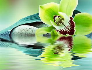 spa de orquídeas y piedras en agua