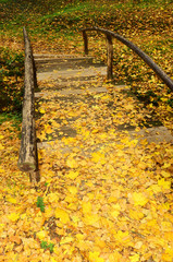 Old bridge in the forest with lush yellow autumn leaves