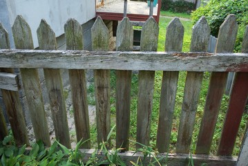 old gray wooden fence from boards on the street in green grass