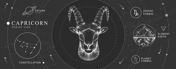 Modern magic witchcraft card with astrology Capricorn zodiac sign. Realistic hand drawing ram or mouflon head. Zodiac characteristic - obrazy, fototapety, plakaty