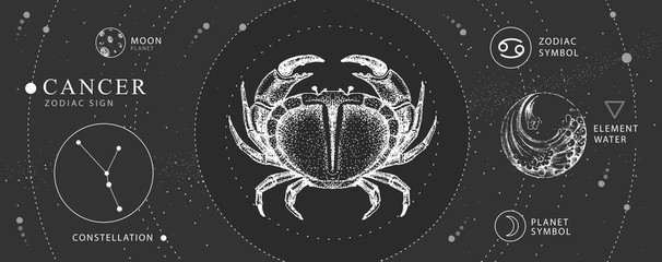 Modern magic witchcraft card with astrology Cancer zodiac sign. Realistic hand drawing crab illustration. Zodiac characteristic © annbozhko