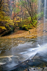 Looking out at autumn colors in a sandstone canyon from behind the misty curtain of a waterfall.