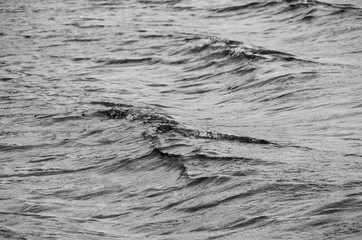 Gloomy water surface with the small waves. Close-up of a dull lake: there are minor waves with the little crests