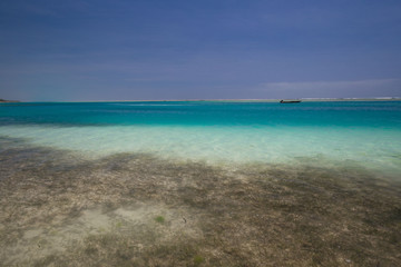 Fototapeta na wymiar Zanzibar, landscape sea, coral reef
