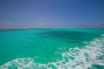 Zanzibar, landscape sea, coral reef