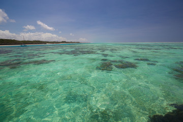 Zanzibar, landscape sea, coral reef