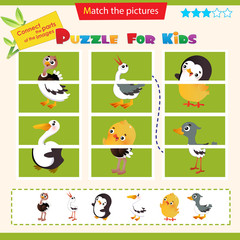 Matching game for children. Puzzle for kids. Match the right parts of the images. Ostrich, stork, chick, gosling, penguin, pelican.