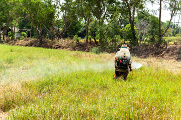 Farmers are using grass sprayer.