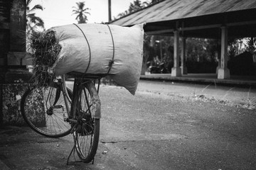 old bicycle in the street