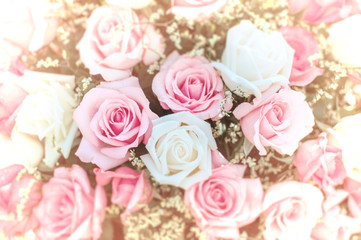 The rose background image is decorated with roses that bloom, the beauty of nature.
