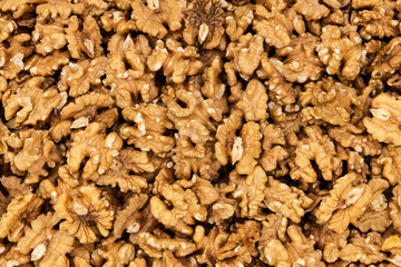 Background made of nuts, walnuts as a background