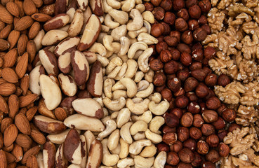 Different kind of nuts as a background, Brazil nuts, almonds, walnuts, cashew, hazelnuts