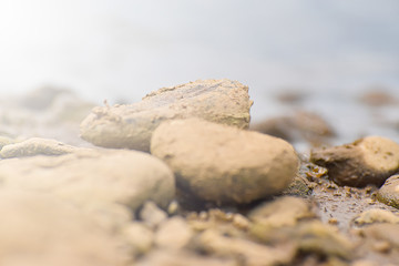 Pebble stones on the shore close up with soft sunlight