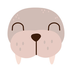 cute sea lion animal flat style