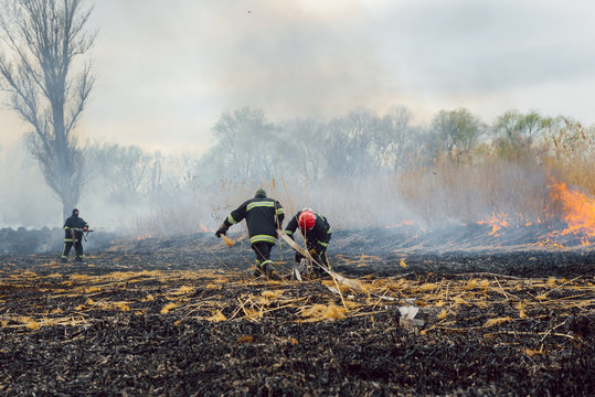 firefighters spray water to wildfire. Fireman working hard to put out the bush fires