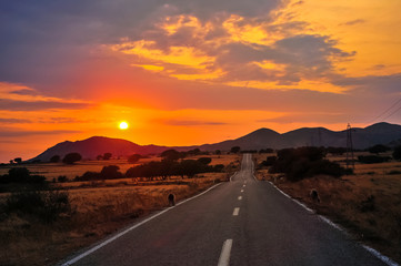 Fototapeta na wymiar Nature landscape in sunset light on asphalt road.