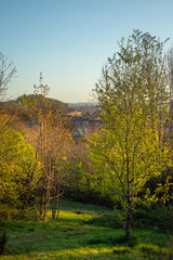 Spring View Over the Southside of Glasgow at Sunset From Queens Park
