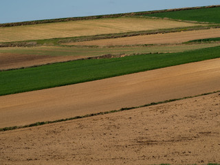 Fototapeta na wymiar Countryside spring landscape of plowed fields. Green grass and brown ground. Ponidzie. Poland
