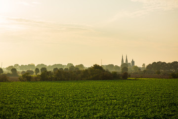 Land van Cuijk, agricultural landscape at the small village Cuijk and the Meuse river, the Netherlands