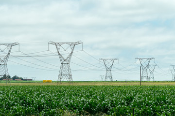 high voltage power lines or electricity pylons in farmland in South Africa