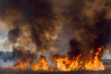 Firefighters battle a wildfire. Ecological disaster concept. Australia. Brazil.