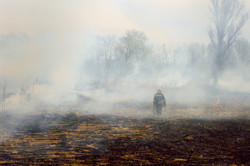 firefighters spray water to wildfire. Fireman working hard to put out the bush fires