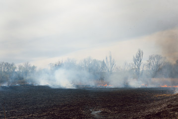 Firefighters battle a wildfire. Ecological disaster concept. Australia. Brazil.