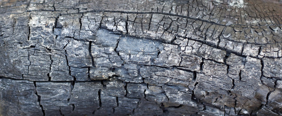 A close up of black grey charred wood or charcoal