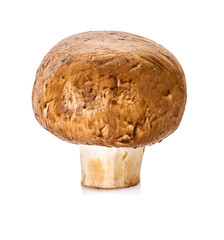 Champignon mushrooms on a white isolated background