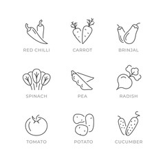 Set line icons of vegetables