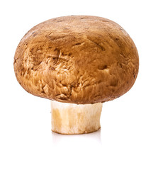 Champignon mushrooms on a white isolated background