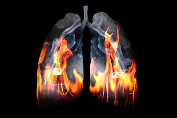 Illustration of a toxic smoke and flame fire formation shaped as the human lung, The concept of cigarette smoker lungs on black background