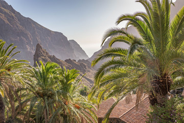 Fototapeta na wymiar Roofs on the Maska village, Tenerife